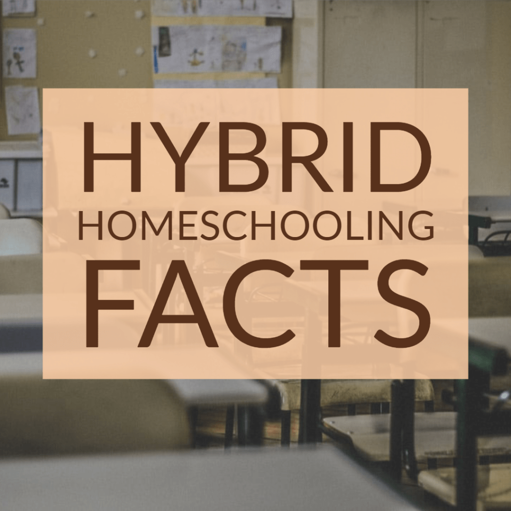 “Nurturing Independent Learners: Montessori-Inspired Hybrid Homeschooling Gains Popularity”