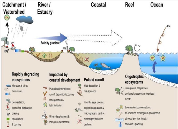 Protecting Our Coastal Gems: Effective Strategies for Coastal Zone&nbsp;Management