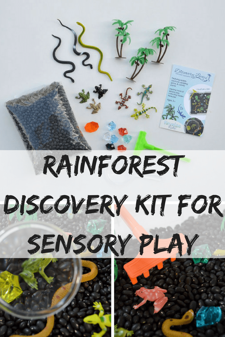 “Forest Sensory Exploration: Engaging Children’s Senses for Holistic Learning and Nature Appreciation”