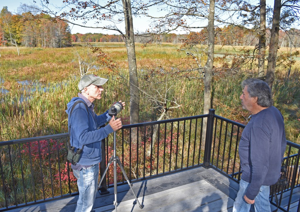“Unlocking the Wonders of Wildlife: The Enriching Benefits of Observation”