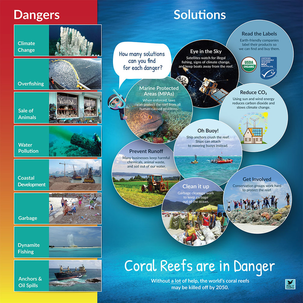 Diving into Education: Unleashing the Power of Coral Reefs in Alternative&nbsp;Schooling