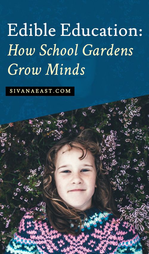 Alternative Schools Prioritize Health and Wellness Initiatives for Holistic&nbsp;Education