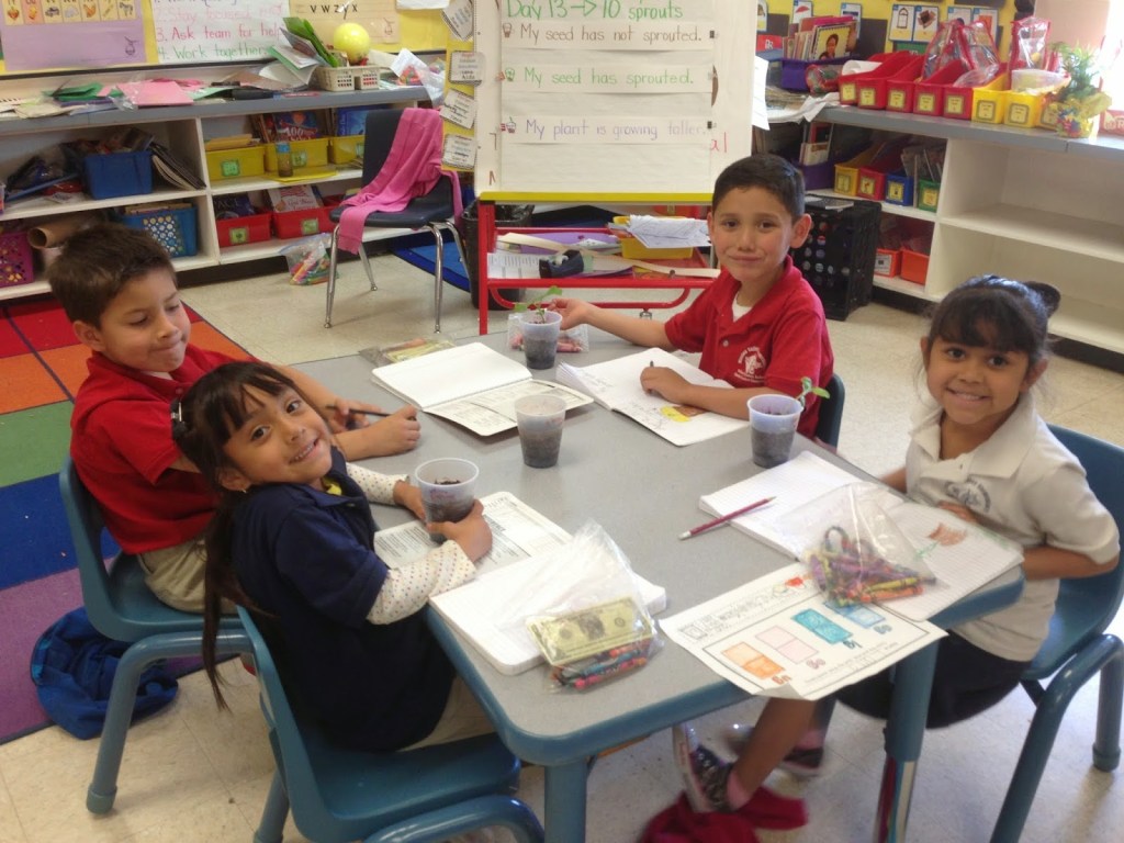 “Empowering Students: The Vital Role of Cooperative Learning in Education”