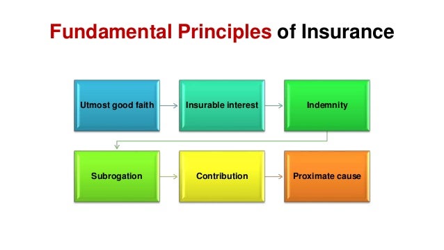 Insurance 101: Safeguarding Your Future with Coverage and Peace of&nbsp;Mind