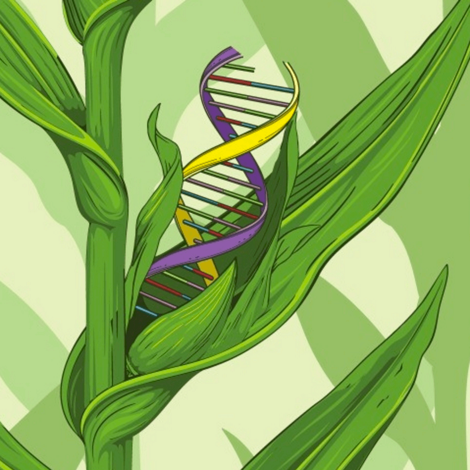 Unleashing the Power of Biotechnology: Science and Innovation at its Finest