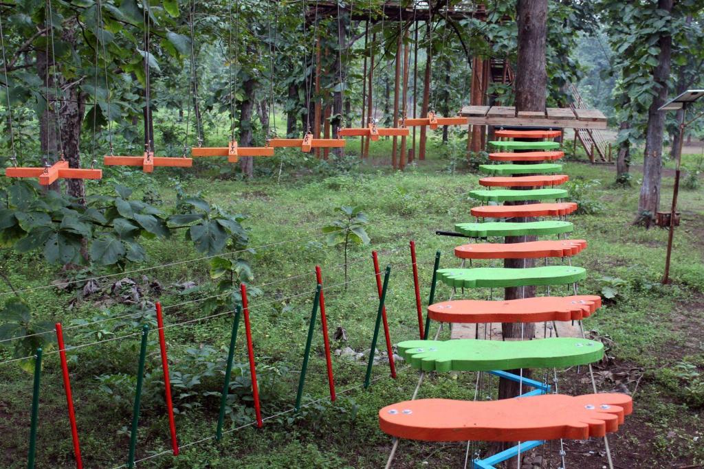 “Scaling New Heights: Tree Climbing and Rope Courses Revolutionize Education”