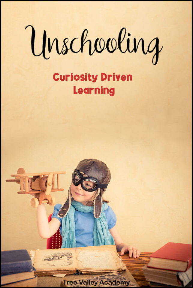Embracing Freedom: Unschooling’s Path to Self-Directed&nbsp;Learning