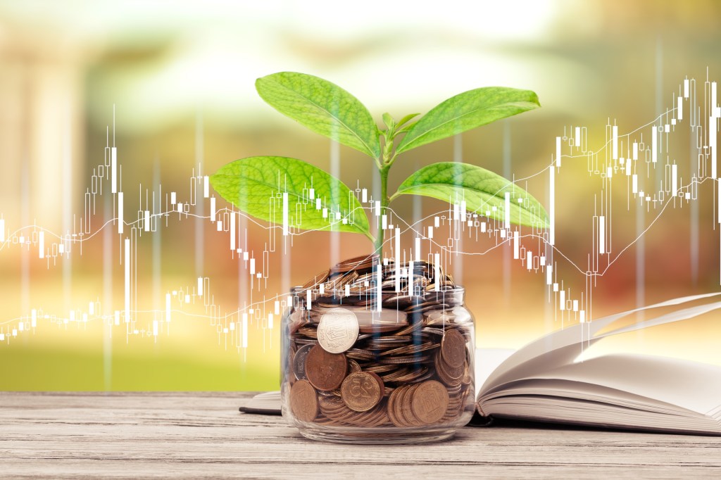 “Socially Responsible Investing: Making Money with a Purpose”