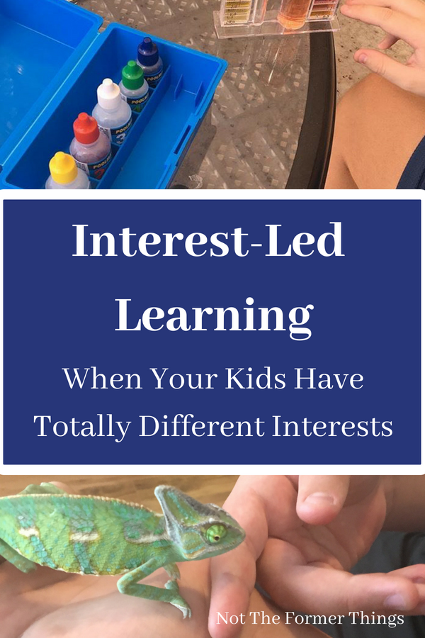 Unlocking Student Potential: The Power of Interest-led&nbsp;Learning