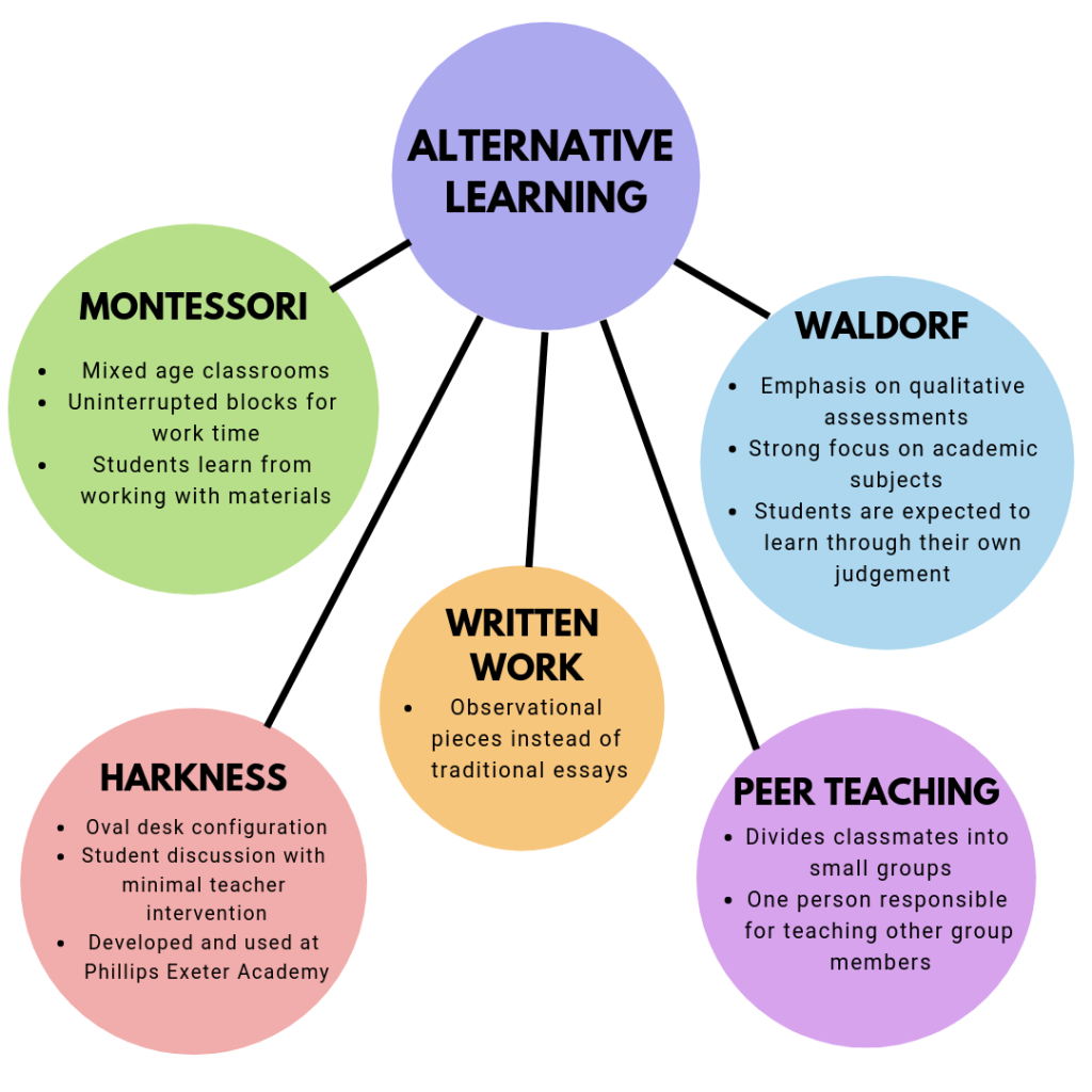 Exploring Alternative Education: A World of Learning Beyond the&nbsp;Classroom