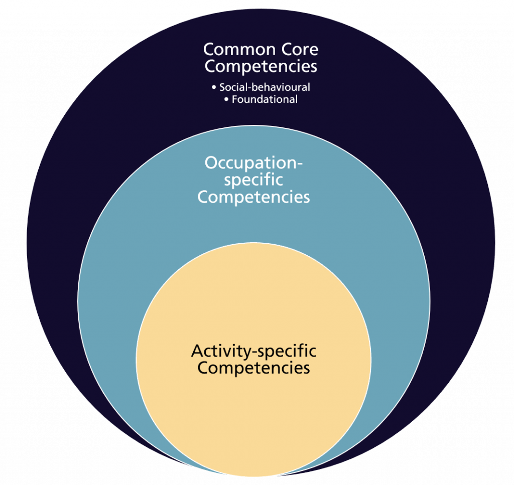 “Competency Frameworks: Shaping Education for Success in a Changing&nbsp;World”