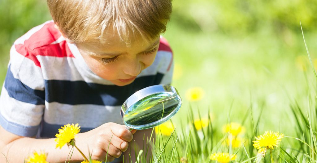 Nature-Based Education: Cultivating Curiosity, Creativity, and&nbsp;Conservation