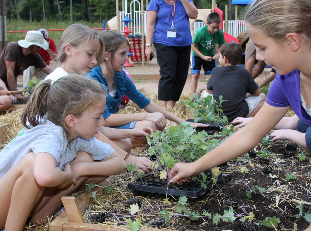 “Growing Minds: How Gardening in Alternative Schools Cultivates Sustainable Education”