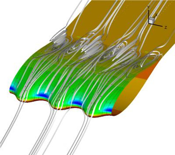 Unleashing Nature’s Secrets: Biomimicry Revolutionizes Engineering&nbsp;Education