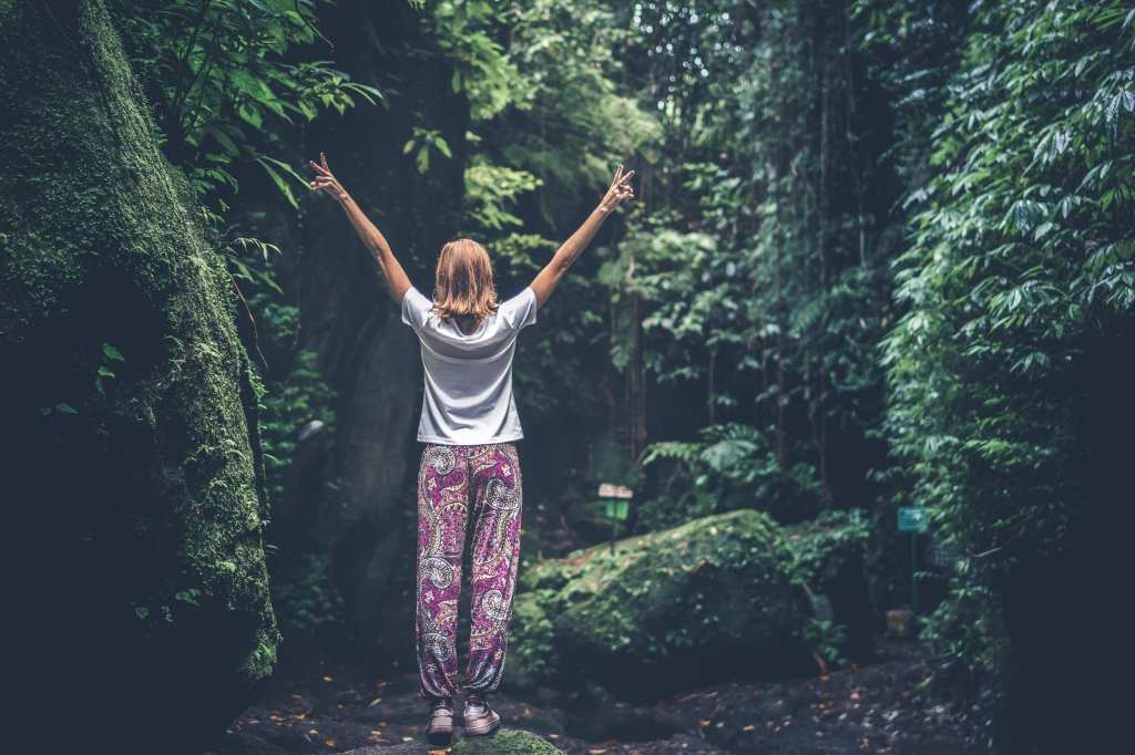 “Forest Therapy: Embracing Nature’s Healing Power for Mental&nbsp;Wellness”