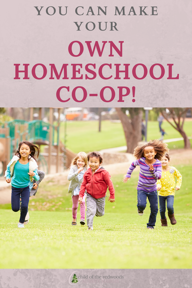 “Co-op Connections: Fostering Community and Learning through Cooperative Education”