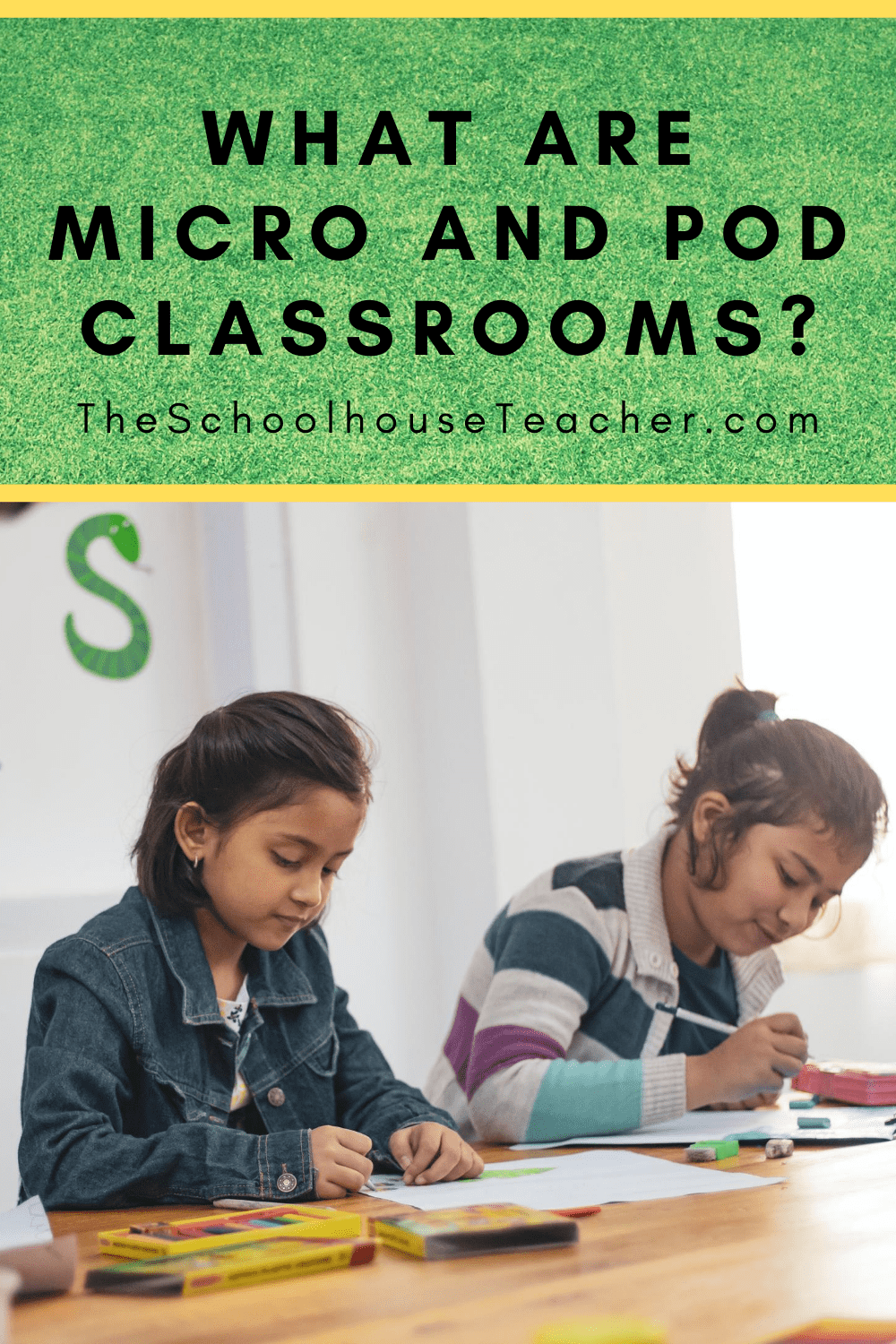 Transforming Education: Microschooling Empowers Children with Special&nbsp;Needs