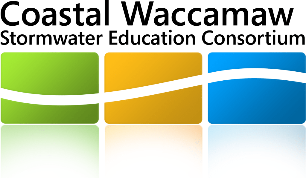 Unleashing the Educational Potential of Coastal Regions: Experiential Learning, Environmental Awareness, and Cultural&nbsp;Enrichment