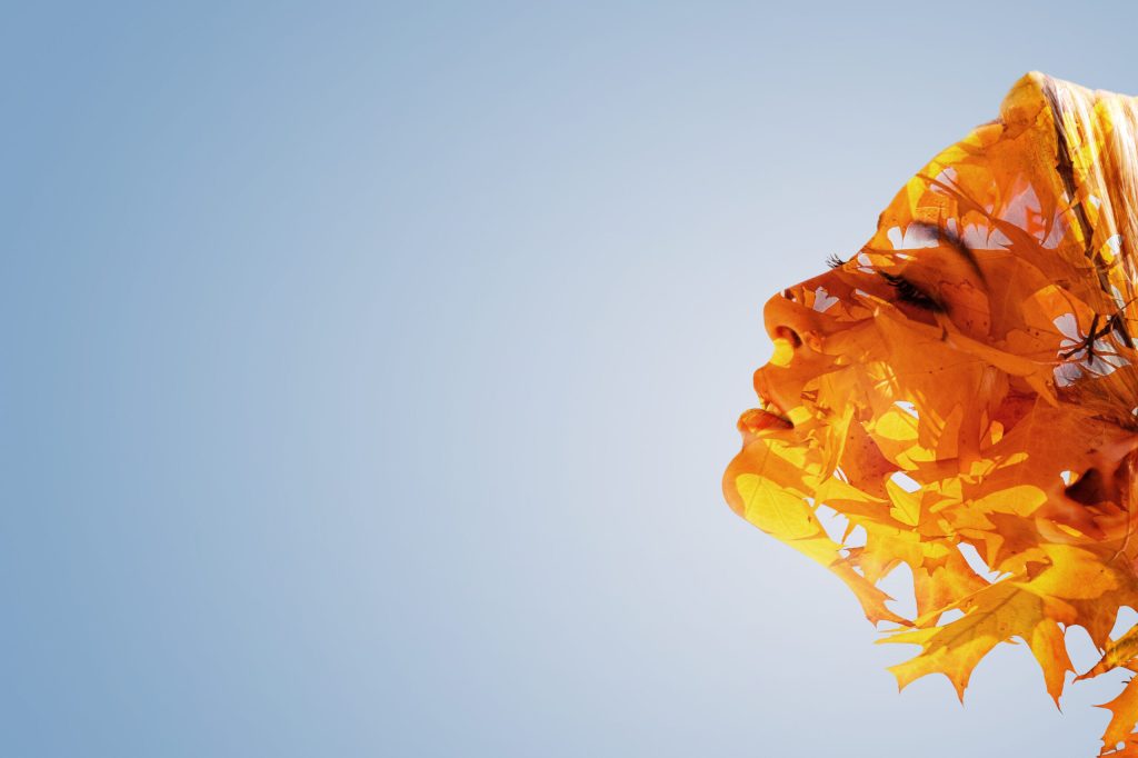 Nurturing the Seeds of Innovation: Unleashing Creativity and Imagination&nbsp;Development