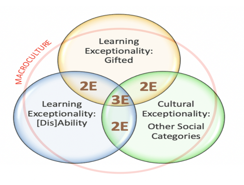 Unlocking the Potential of Twice-Exceptional Students: Nurturing Giftedness and Overcoming&nbsp;Challenges