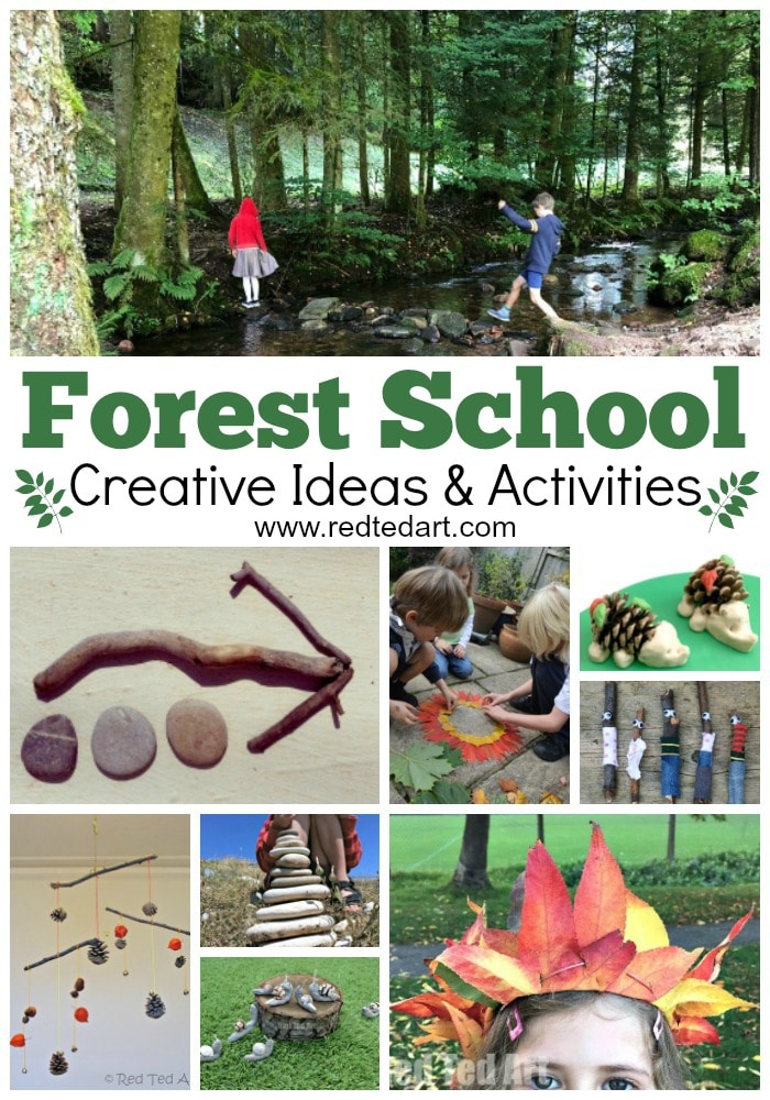 “Forest Schools: Nurturing Curiosity and Connection through Nature-Based Education”