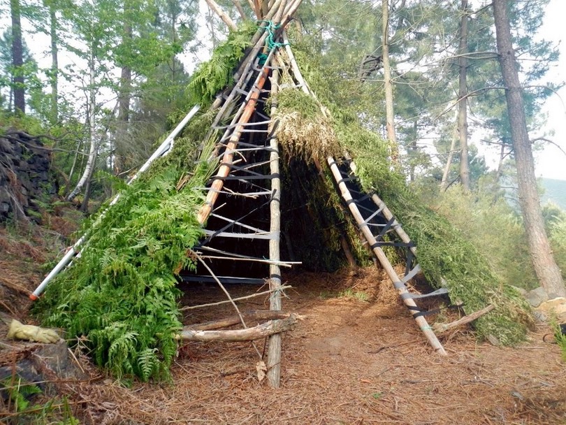 “Shelter Building and Survival Skills: Empowering Alternative Education for a Changing World”