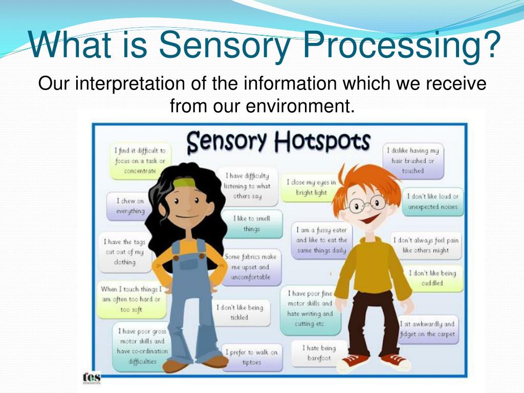Unlocking the Senses: Supporting Children’s Unique Needs in the&nbsp;Classroom