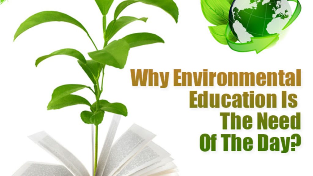 “Environmental Education: Cultivating Responsible Stewards of Our&nbsp;Planet”