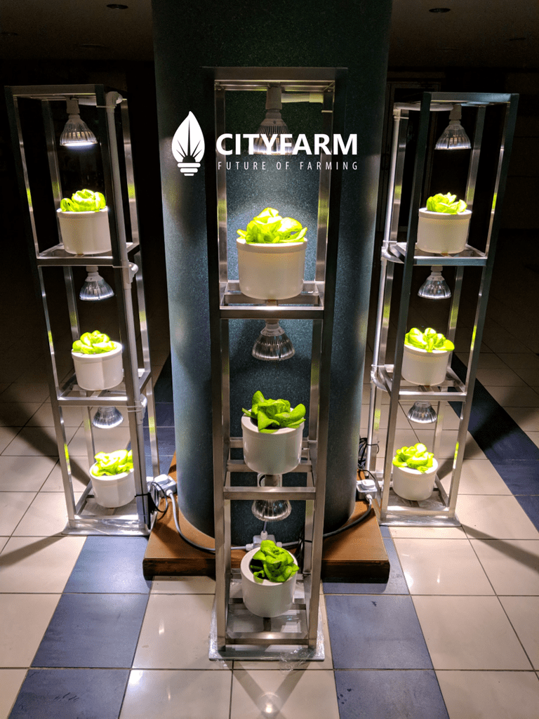 Cultivating a Sustainable Future: Inspiring Urban Farming Projects Transforming Communities