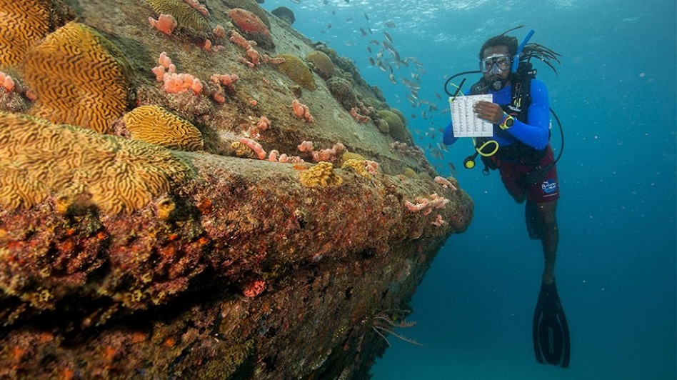 “DIY Guide: Save Coral Reefs and Marine Protected Areas with These Simple&nbsp;Steps!”