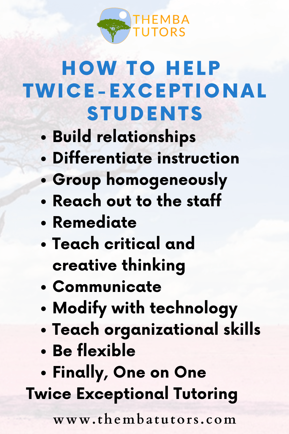 Unleashing the Potential of Gifted Learners: Strategies for&nbsp;Success