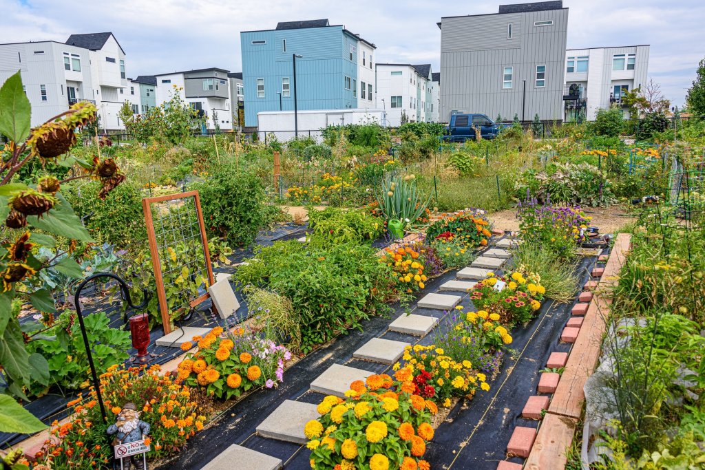 “Growing Minds: Urban Farming Revolutionizes Alternative Education”