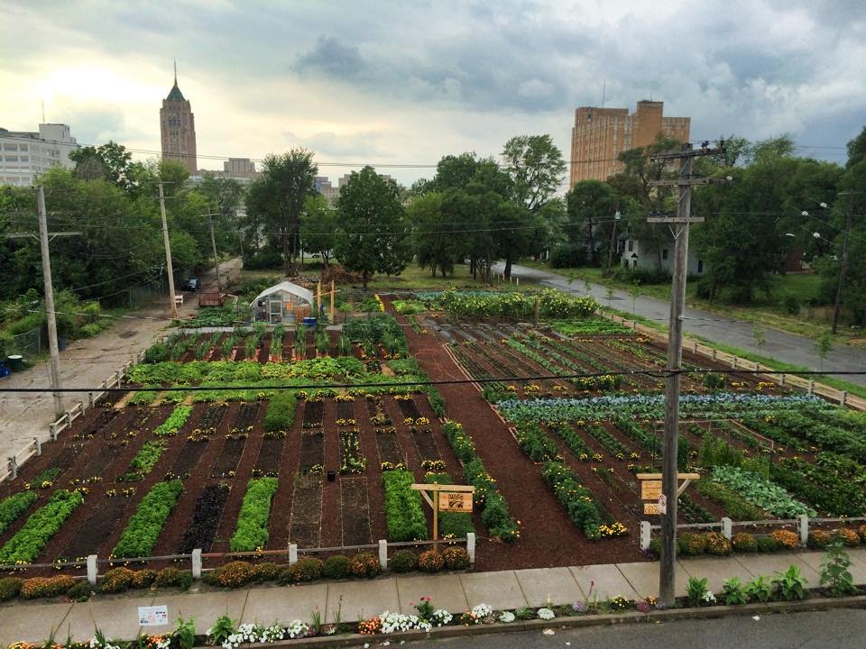 “From Rooftop Farms to Vertical Gardens: Urban Farming Initiatives Cultivate Sustainable Communities Worldwide”