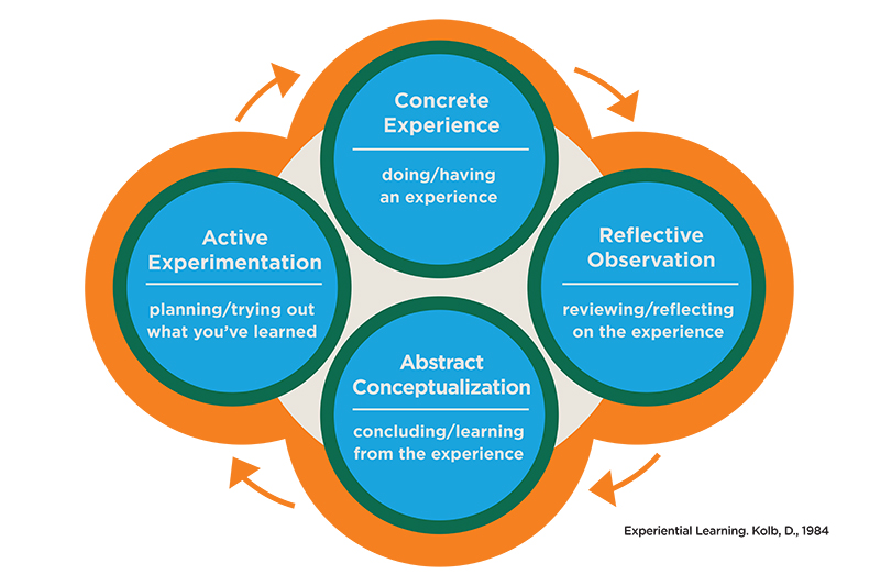 “Unlocking the Power of Self-Directed Education: Strategies for Success in Alternative Schooling”