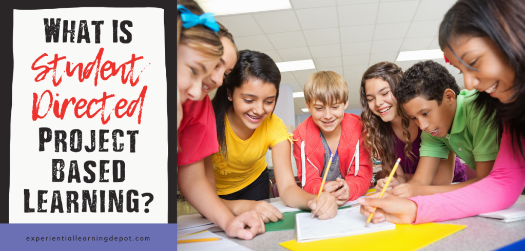 Empowering Growth: Collaborative Projects in Self-Directed&nbsp;Learning