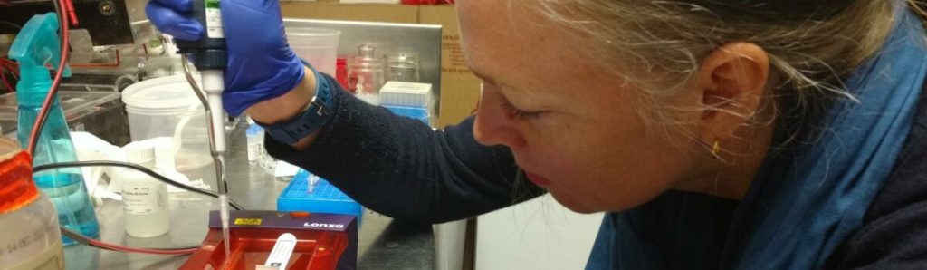 Unleashing Human Potential: Exploring the Frontiers of Biohacking and&nbsp;Bioengineering