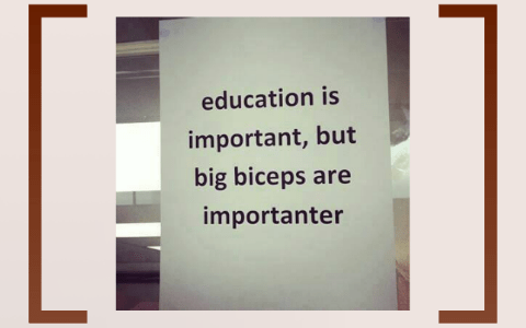 Indigenous Education Initiatives: Empowering Communities and Preserving Culture