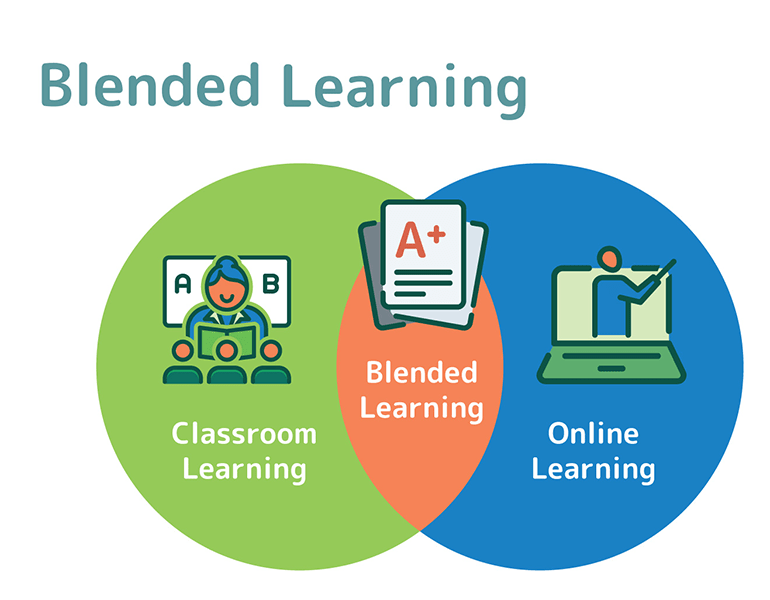 Revolutionizing Education: Blended Learning, Virtual Field Trips, and Individualized&nbsp;Plans