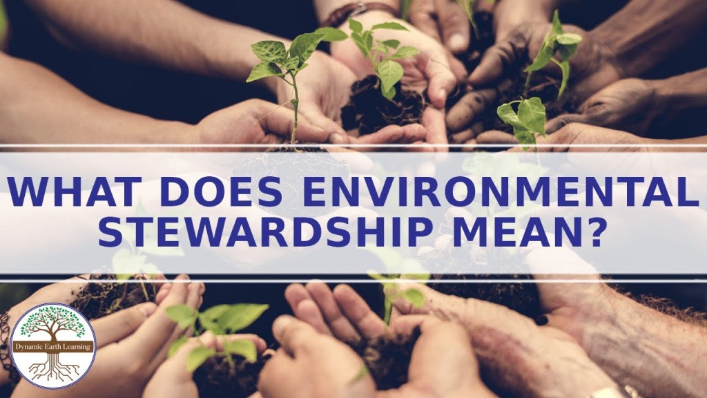 “Alternative Schools: Cultivating Environmental Stewardship for a Sustainable&nbsp;Future”