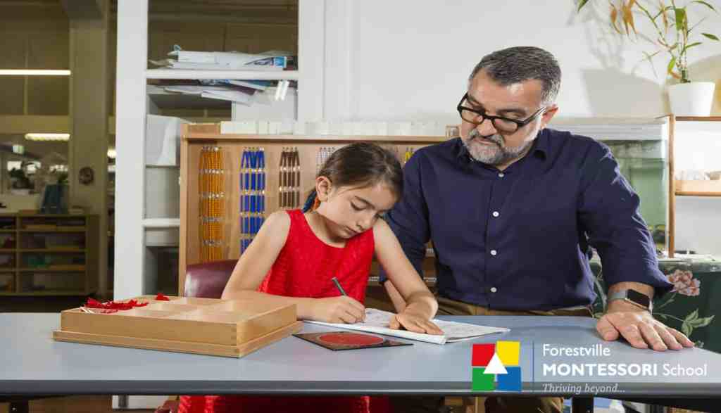 Unleashing Potential: The Power of the Montessori Teacher