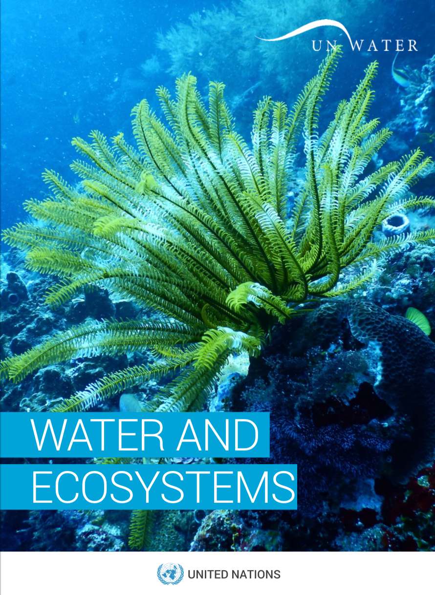 Diving into the Depths: Exploring the Wonders of Water Bodies and&nbsp;Ecosystems