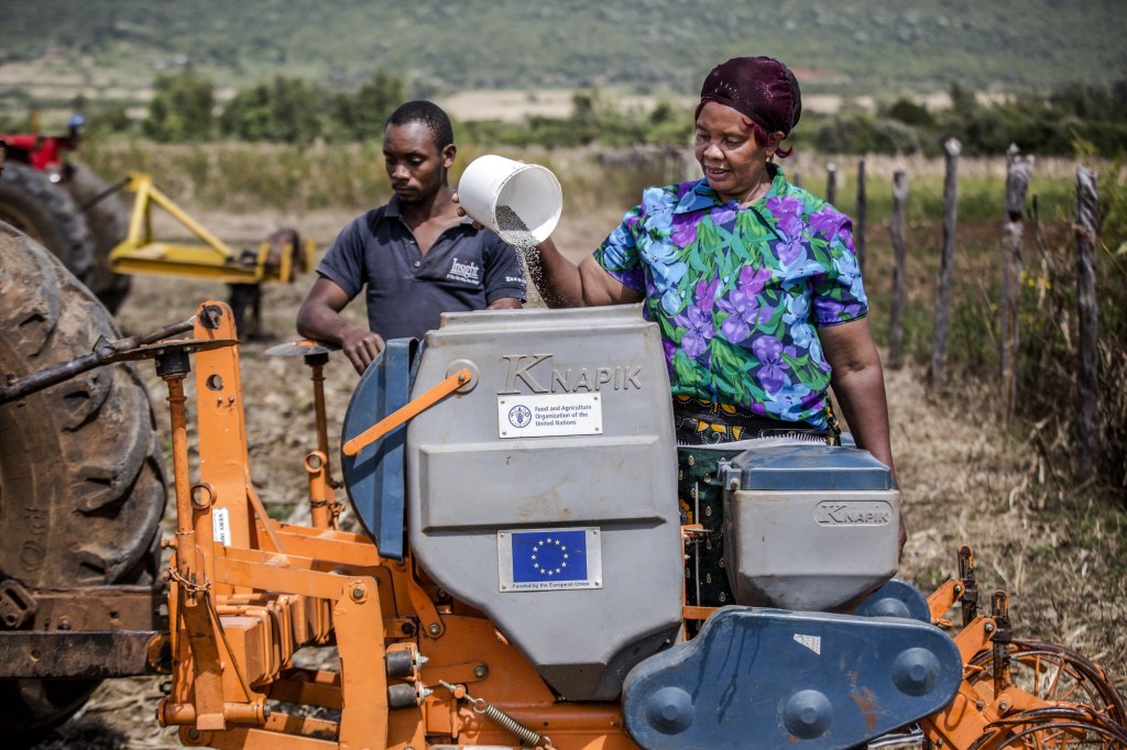 Sowing Seeds of Sustainability: Transforming Agriculture in Africa