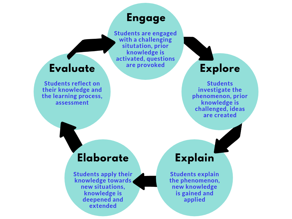 Inquiry-Based Learning: Empowering Curiosity and Knowledge&nbsp;Acquisition