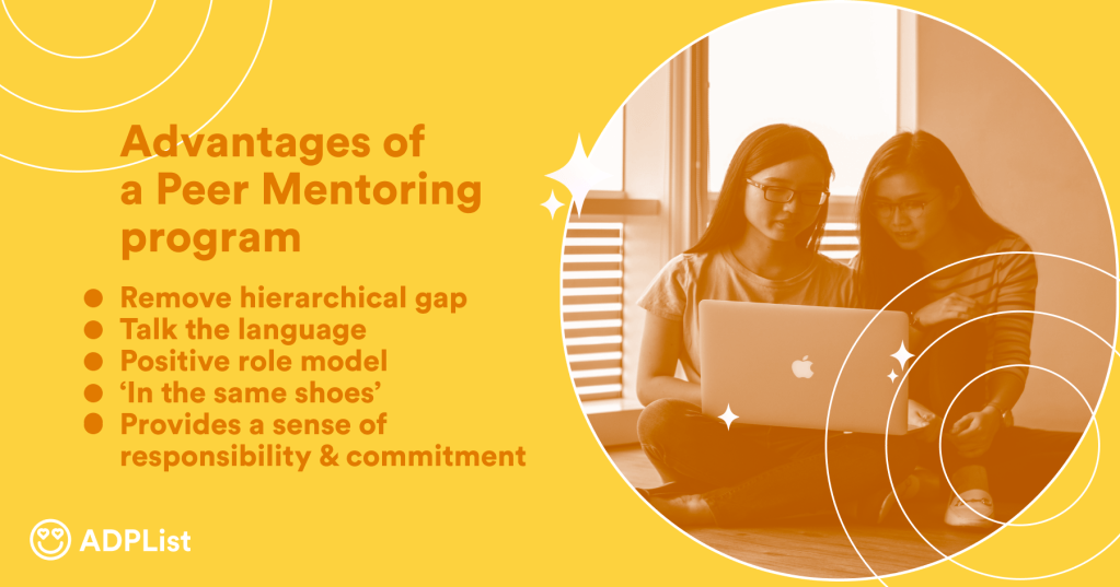 Empowering Education Through Diverse Mentorship&nbsp;Programs