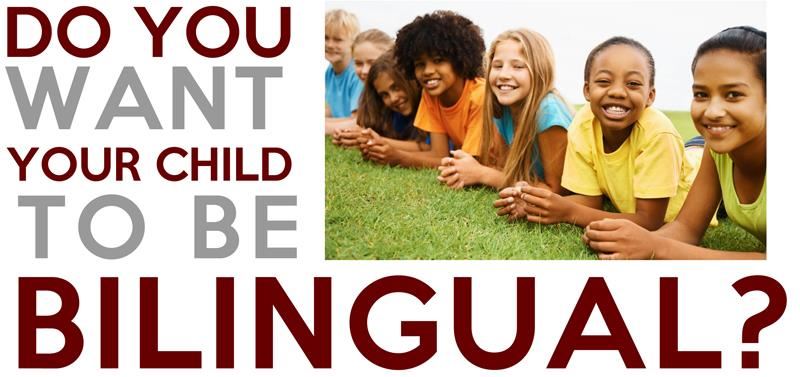 Unlocking the Power of Language Immersion: Benefits, Challenges, and Strategies