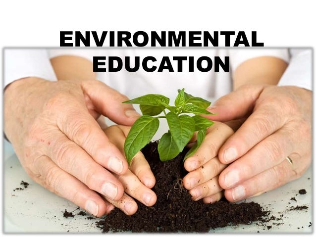 Empowering Tomorrow’s Leaders: Promoting Environmental Stewardship Through Science Studies
