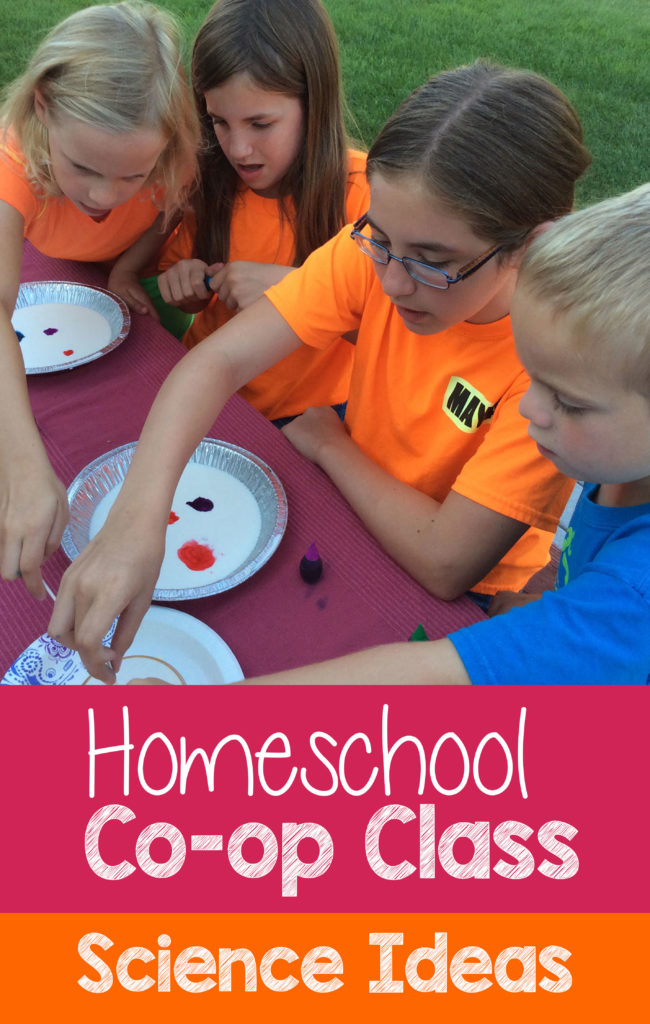 “Thriving in the Desert: Homeschooling Co-ops Build Strong Communities and Bright&nbsp;Minds”