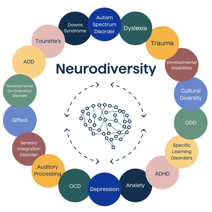 Embracing Neurodiversity: Strategies for Inclusive Education&nbsp;Success