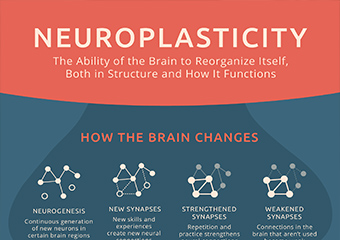 Unlocking the Brain: How Alternative Schools Harness Neuroplasticity for Student&nbsp;Success