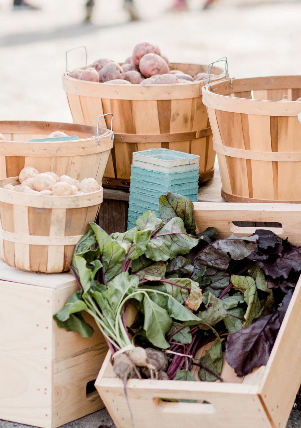 “Growing Minds: Biodynamic Gardening Nurtures Students in Waldorf Education”